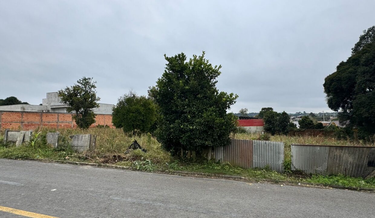 WhatsApp Image 2025-06-23 at 11.23.04