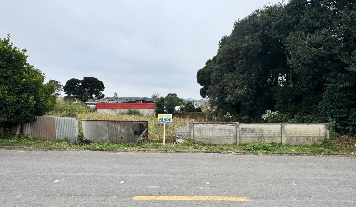 WhatsApp Image 2025-06-23 at 11.23.05