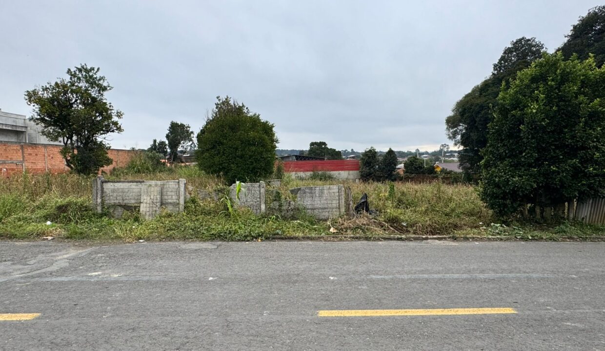 WhatsApp Image 2025-06-23 at 11.23.05 (2)