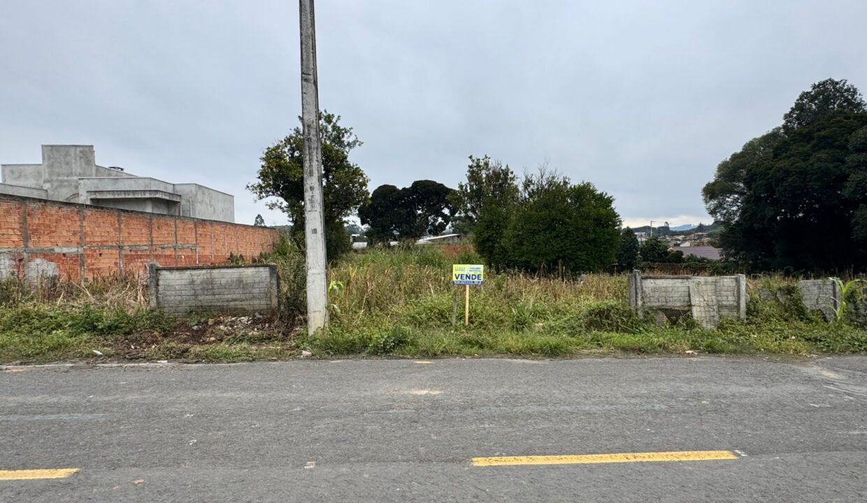 WhatsApp Image 2025-06-23 at 11.23.06