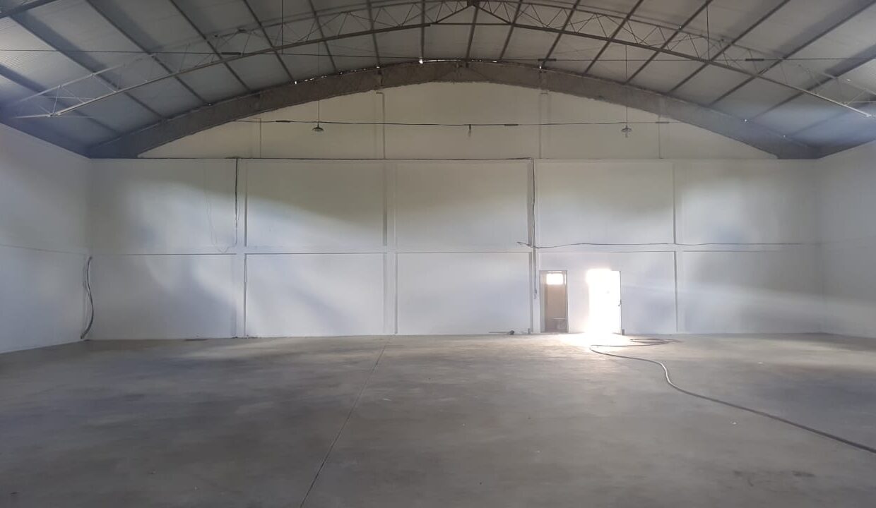 WhatsApp Image 2025-12-04 at 14.35.18