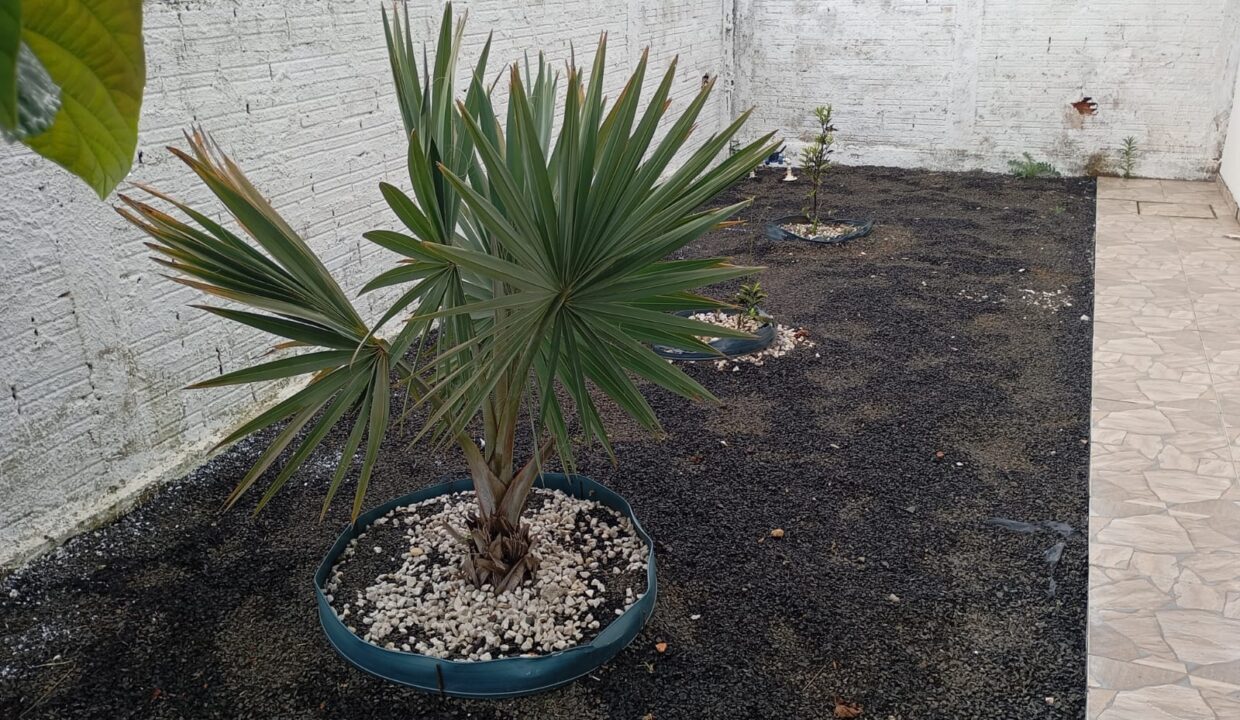 WhatsApp Image 2025-12-08 at 11.17.16