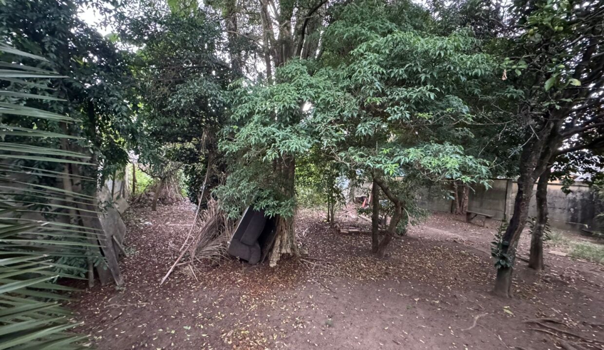 WhatsApp Image 2026-02-24 at 10.40.05 (2)