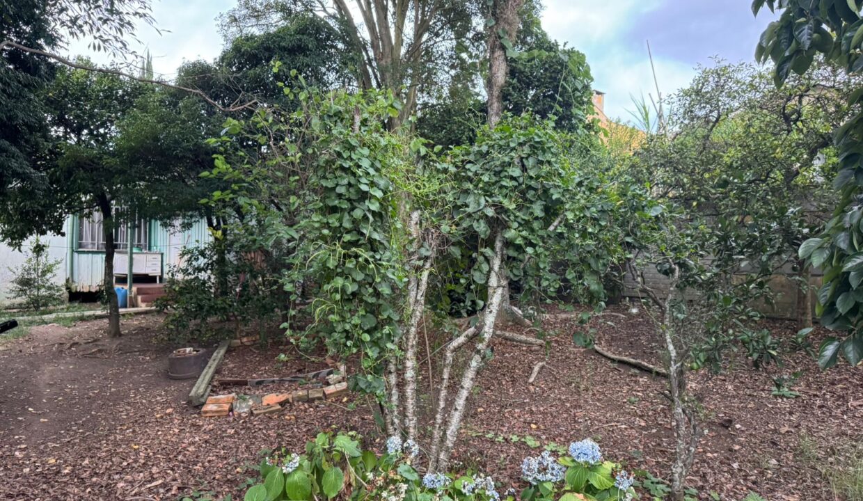 WhatsApp Image 2026-02-24 at 10.40.05 (3)