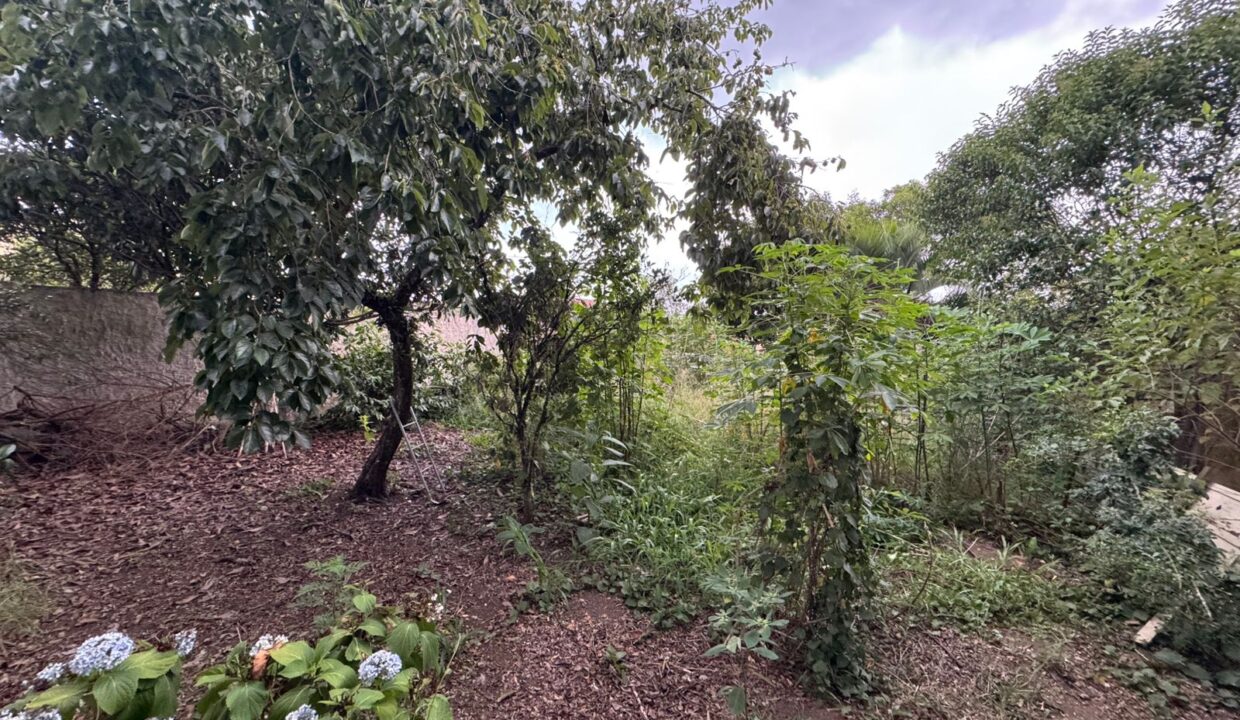 WhatsApp Image 2026-02-24 at 10.40.06